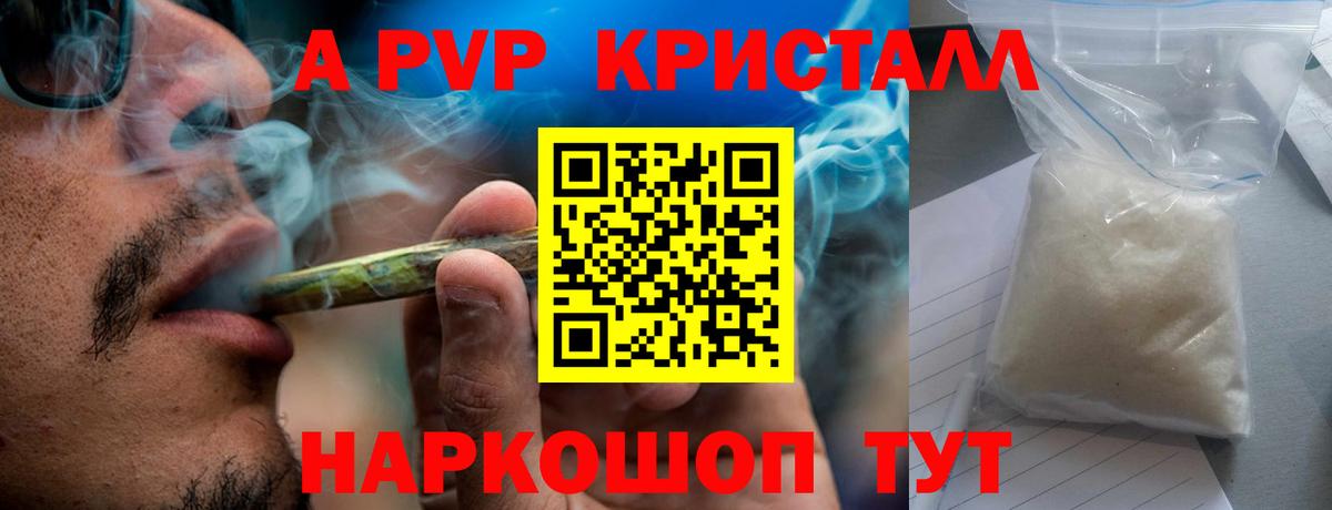 Альфа ПВП СК Новоалександровск
