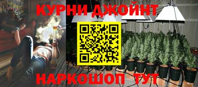 сатива Бузулук