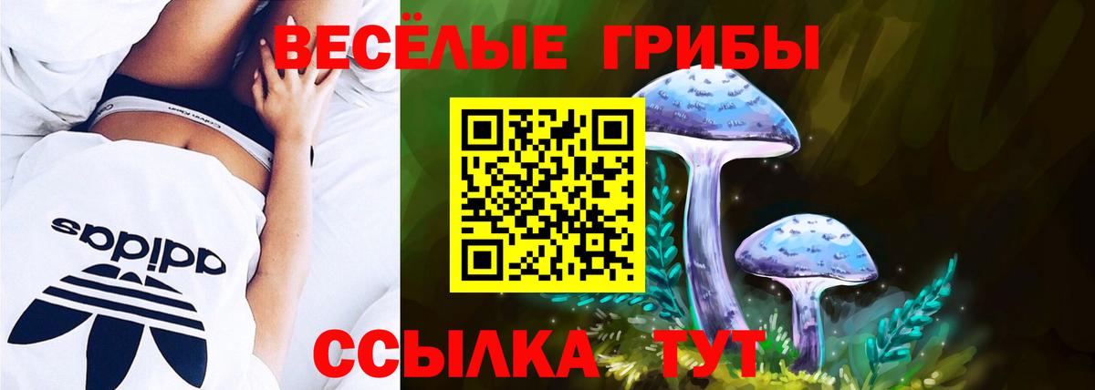 Псилоцибиновые грибы GOLDEN TEACHER  Вход с VPN  Новоалександровск 