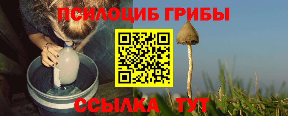 Псилоцибиновые грибы мухоморы Новоалександровск